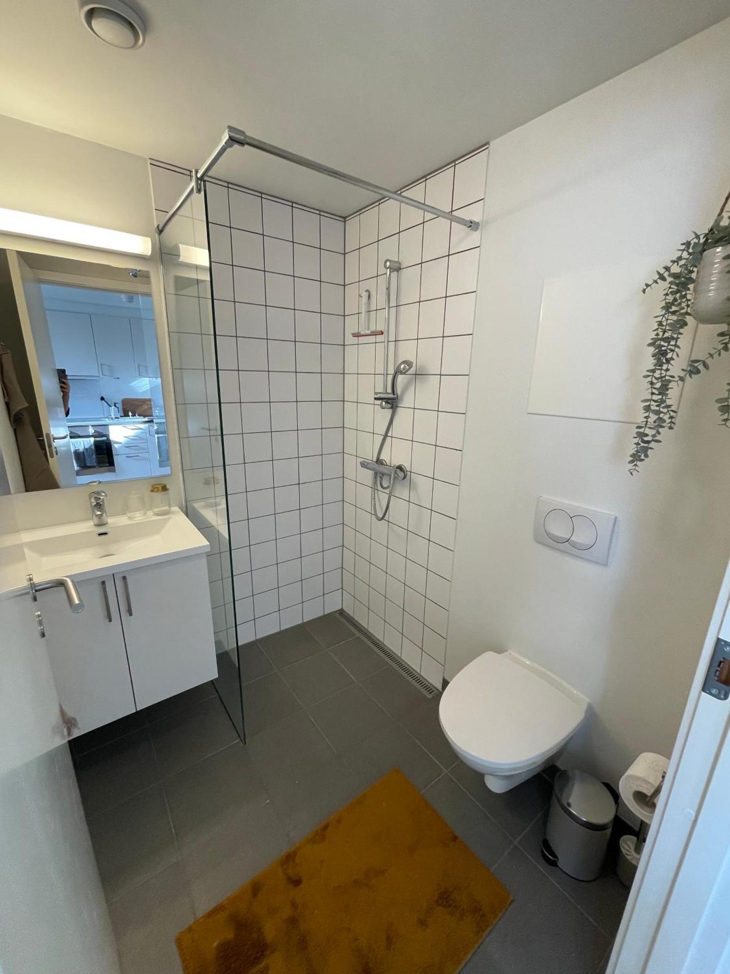 Central Lejlighed I Odense C Apartment Bagian luar foto